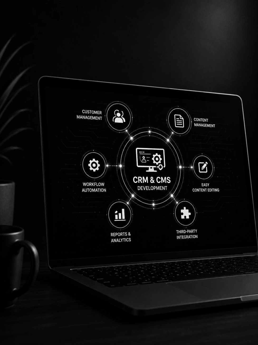 CRM & CMS Development